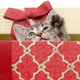 Illustration for article titled Holiday Gift Guide: Your Local Animal Shelter (and a treatise on blankets)